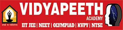 Vidyapeeth Academy