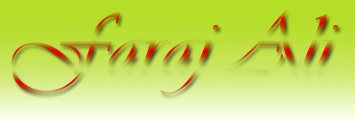 Web Designing