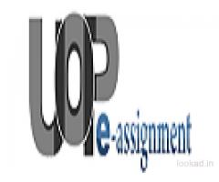 FIN 571 Connect Problem Via UOP E Assignments
