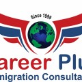Immigration Consultant